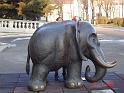 Elefant and we